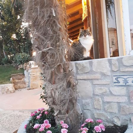 Bed and Breakfast Perla Gussago Zewnętrze zdjęcie