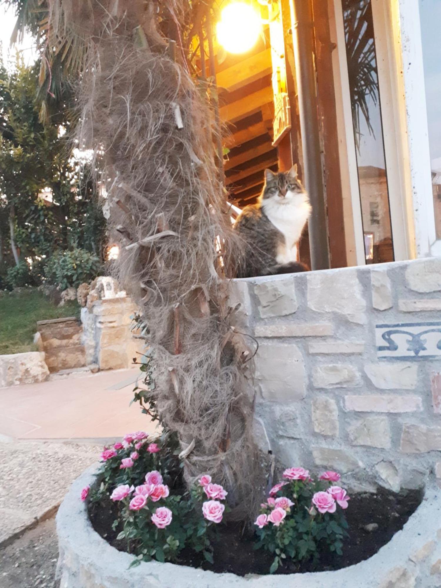 Bed and Breakfast Perla Gussago Zewnętrze zdjęcie